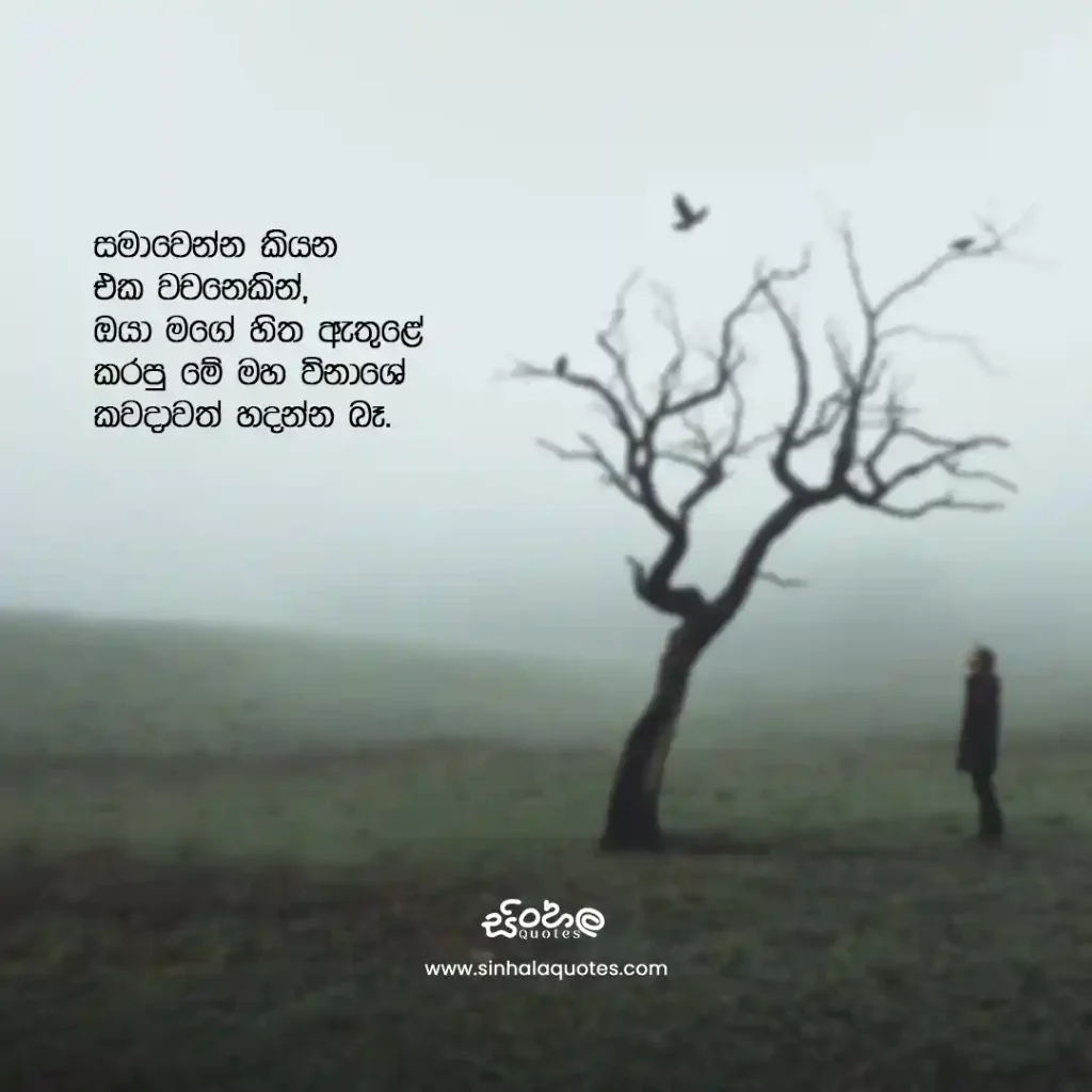 Sinhala heartbreak quote about an apology that cannot repair the hurt