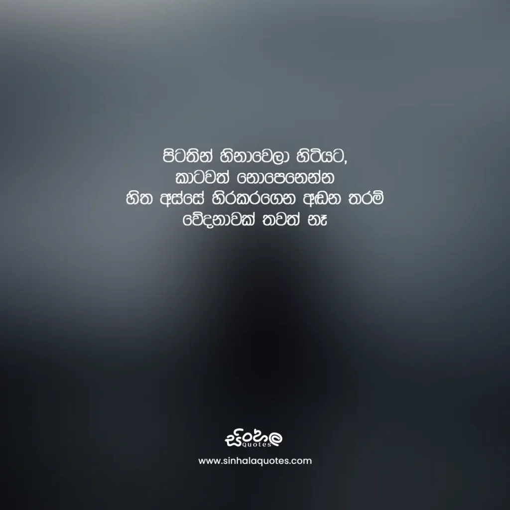 Sinhala emotional quote about hiding sadness behind a smile